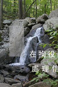 在拘役期間信用卡還款怎么辦，拘役期間如何處理信用卡還款？